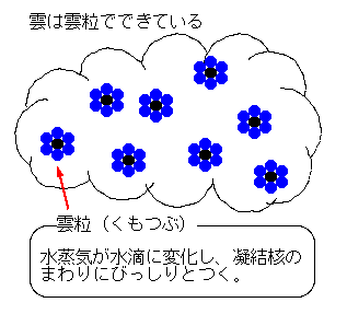 雲は雲粒からできており、雲粒は、水蒸気が水滴に変化して凝結核の周りについたものである