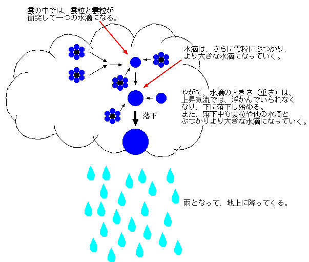 雲の中で雲粒が衝突して水滴になる。さらに水滴は雲粒に衝突してより大きな水滴になる。やがて水滴の大きさが大きくなって重くなり、上昇気流によって浮かんでいられなくなって下に落下する。落下中も雲粒や水滴とぶつかりより大きな水滴になる。