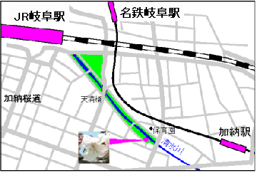 岐阜の標本木は、岐阜駅から清水川の堤防沿いに行くと南側にある。